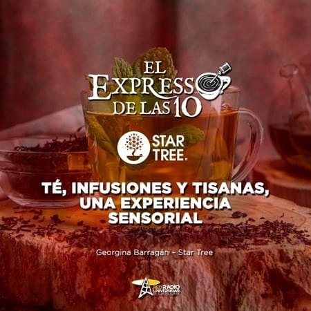 TE, INFUSIONES Y TISANAS, UNA EXPERIENCIA SENSORIAL - El Expresso de las 10 - Vi. 19 Ene 2024