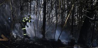 Colombia en alerta por veintena de incendios forestales en medio de récord de calor