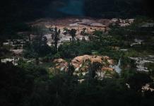 La deforestación fragmenta la Amazonia y aísla 23% de sus bosques, dice estudio