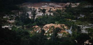 Fondo Amazonía de Brasil aprobó 264 millones de dólares en 2023 contra la deforestación