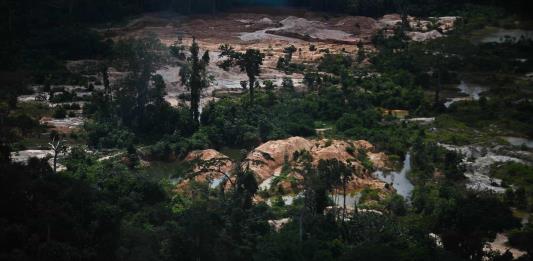 La deforestación fragmenta la Amazonia y aísla 23% de sus bosques, dice estudio