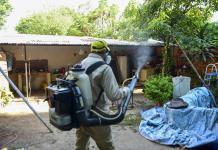 Asunción del Paraguay en combate casa por casa ante el avance del dengue