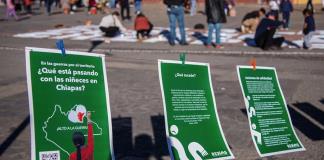 ONG advierten que 100.000 menores son afectados por el crimen en frontera sur de México