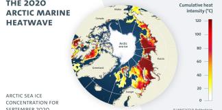Un estudio pronostica que las olas de calor marinas en el Océano Ártico serán la norma