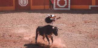 El torero mexicano José Alberto Ortega entre la vida y la muerte tras cornada en el cuello