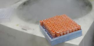 Universidad de Alabama suspende fecundación in vitro tras sentencia judicial