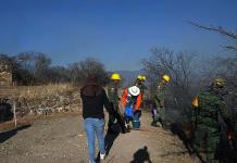 Un incendio afecta 30 hectáreas de zona arqueológica de Monte Albán en Oaxaca