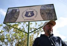 Un oso rebelde busca la libertad en Colombia