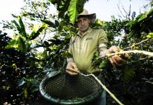 Caficultores de Costa Rica combaten cambio climático con tecnología