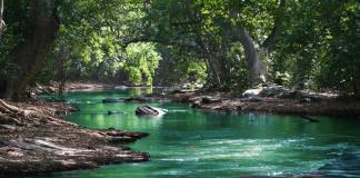 Científicos descifran sedimentos en lagos de México para conocer efectos del cambio climático