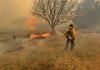 Fuera de peligro, bomberos lesionados por incendio en Gómez Farías