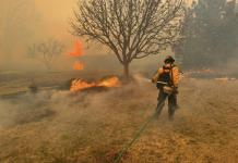 Un muerto en incendio forestal en Texas, uno de los mayores de su historia