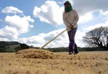 La exclusión y la precariedad laboral persisten en el campo mexicano, denuncian jornaleras