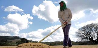 La exclusión y la precariedad laboral persisten en el campo mexicano, denuncian jornaleras