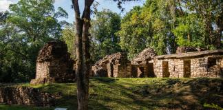 Zona arqueológica de Yaxchilán en Chiapas reabre tras 5 meses cerrada por violencia