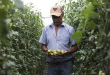 ONU: Es una paradoja que haya un núcleo duro de personas con hambre en Latinoamérica