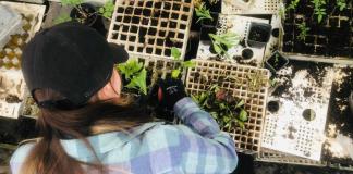 Rincón Verde cumple 9 años de enseñar a sembrar de manera autónoma en Guadalajara 