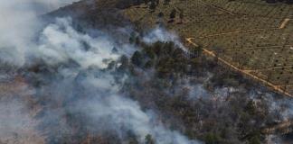 Cuatro muertos por los incendios forestales en México