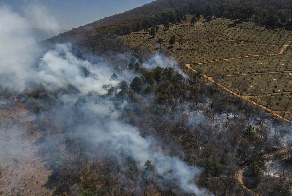 Cuatro muertos por los incendios forestales en México
