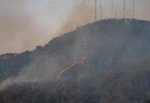 México reporta 120 incendios forestales activos, un incremento diario del 26 %
