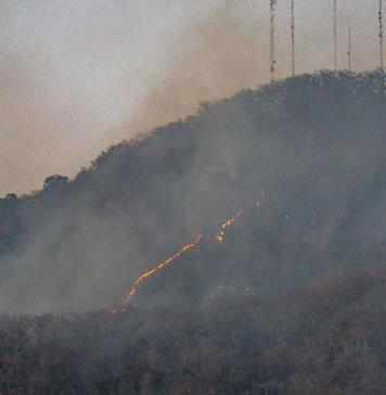 México reporta 120 incendios forestales activos, un incremento diario del 26 %