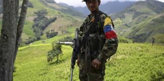 En Colombia, el cañón de la guerrilla y la coca