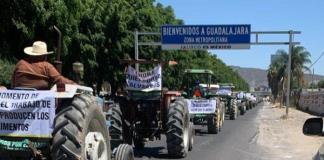 Agricultores de Jalisco piden 7 mil pesos por tonelada de maíz, sino no sembrarán este temporal 