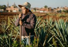 Lanzan manual para cineastas de EE.UU. contra los estereotipos de los latinos en Hollywood