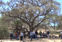Ejidatarios de San Martín de Zula presentan proyecto para construir un parque ecológico