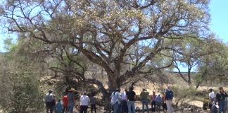 Ejidatarios de San Martín de Zula presentan proyecto para construir un parque ecológico