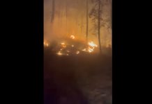 Incendio forestal en Tamazula cobra casi 4 mil hectáreas