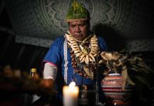 Como narcotraficantes: indígenas sudamericanos presos en México por ayahuasca