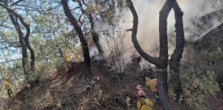 Detienen a mujer por provocar incendio en el Bosque La Primavera
