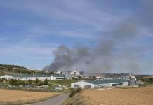Mueren en España 600.000 gallinas por el incendio de una granja avícola