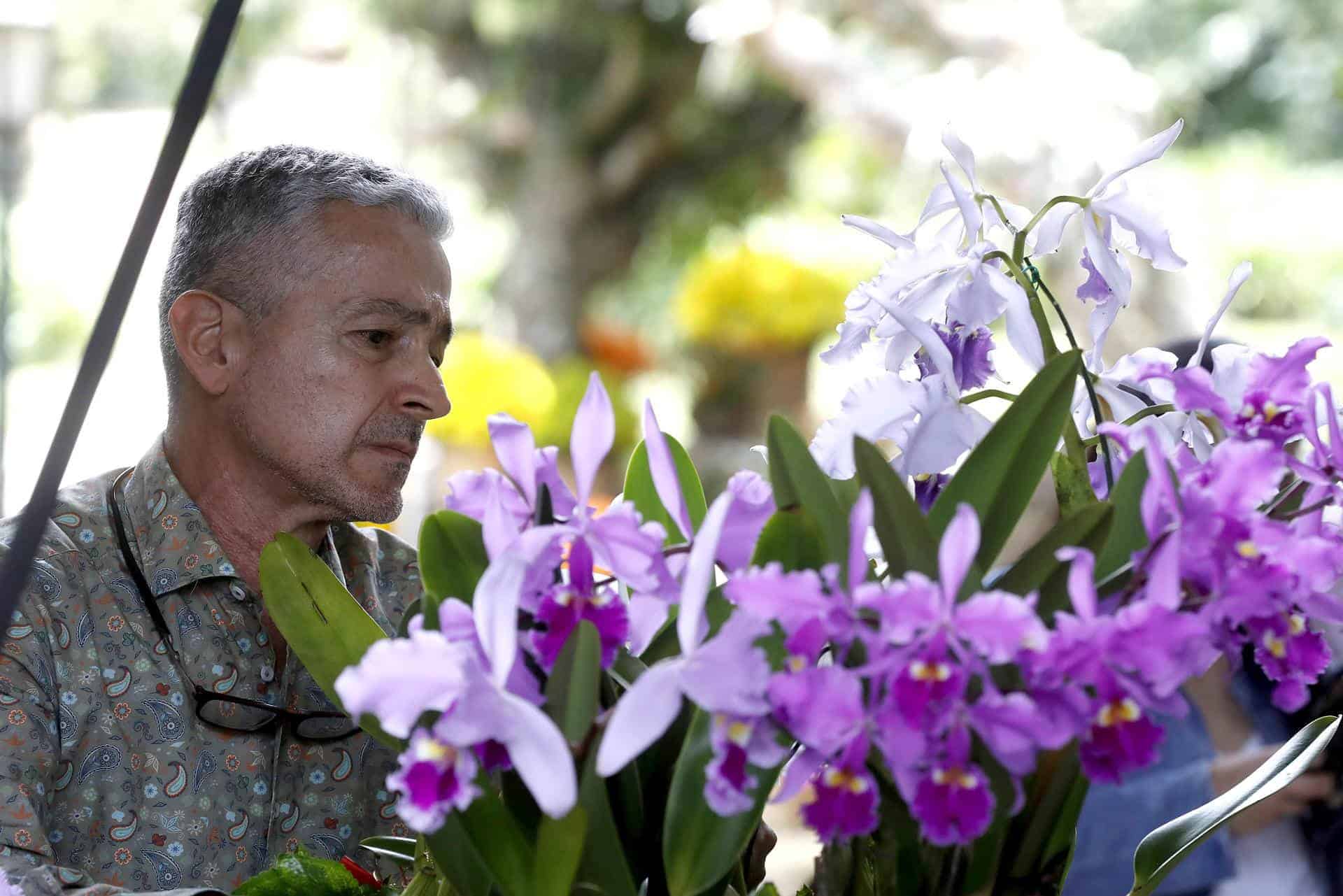 Coleccionistas de orquídeas y autos antiguos exhiben sus joyas en un castillo de Medellín