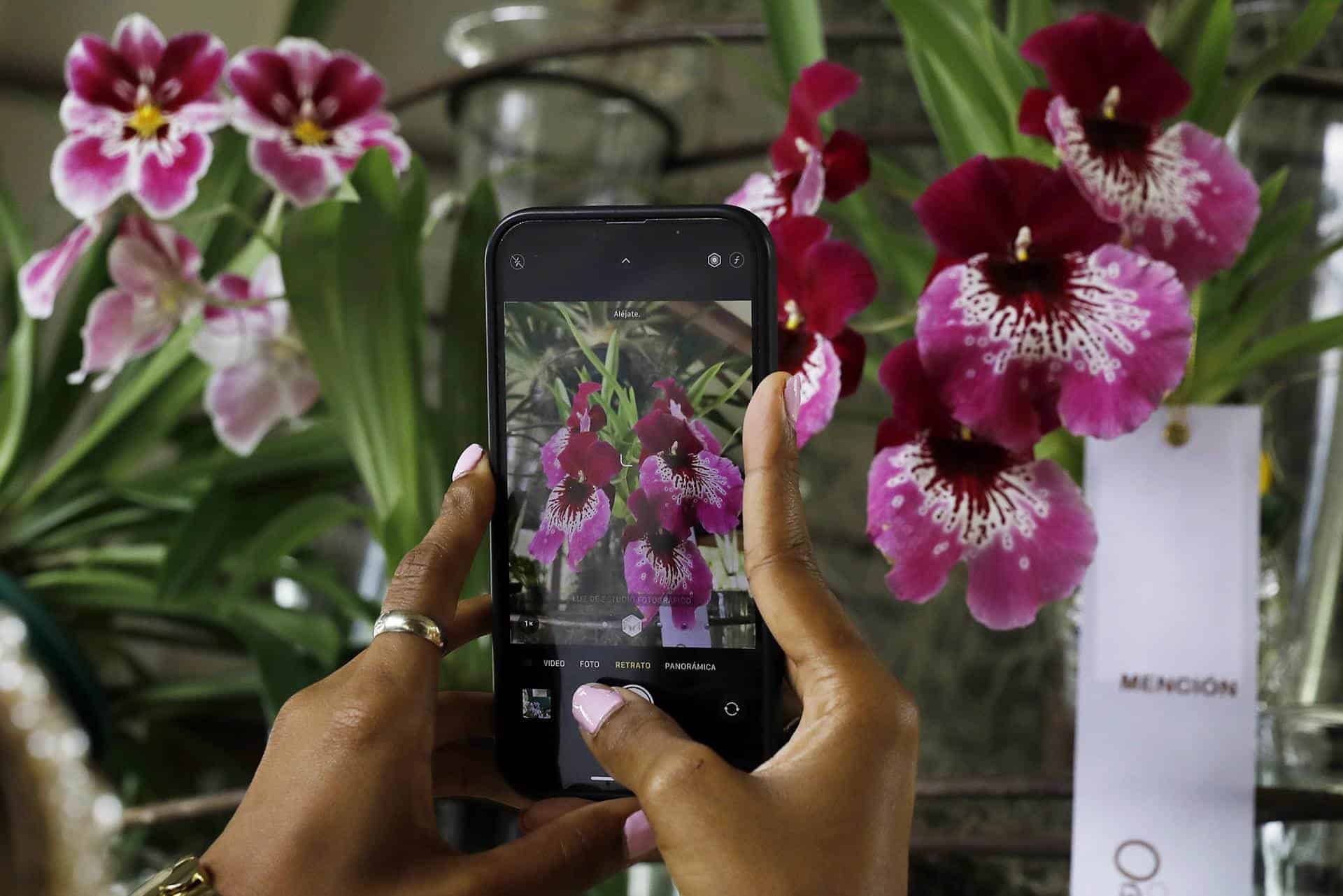 Coleccionistas de orquídeas y autos antiguos exhiben sus joyas en un castillo de Medellín