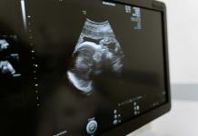 Un estudio arroja luz sobre la formación de los embriones humanos