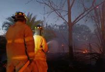 En Sayula aún no identifican a responsables de provocar incendios forestales