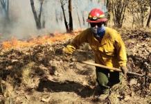 Jalisco, primer lugar nacional en superficie afectada por incendios forestales