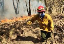 Jalisco, en top de incendios forestales porque otros gobernadores no los reportan: Alfaro