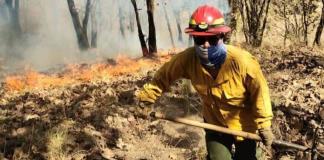 Jalisco, en top de incendios forestales porque otros gobernadores no los reportan: Alfaro