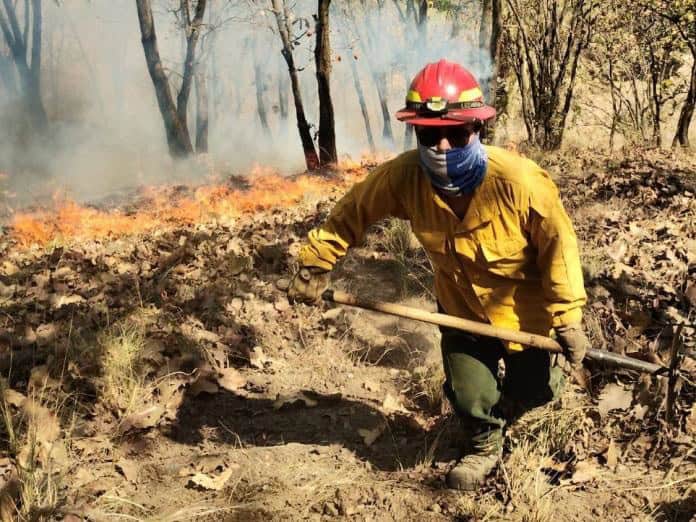 Brasil registra 80.000 incendios forestales en septiembre, un 30 por ciento más que el promedio histórico