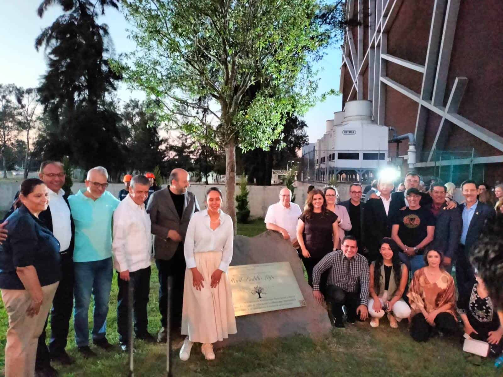 Un roble en el Centro Cultural Universitario, el monumento vivo en memoria de Raúl Padilla López