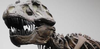 Hallan en China las mayores huellas de deinonicosaurio descubiertas hasta la fecha