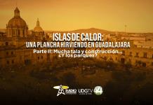 Islas de calor: una plancha hirviendo en Guadalajara| Parte II: Mucha tala y construcción… ¿y los parques? 