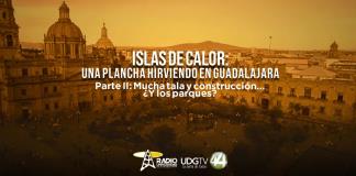 Islas de calor: una plancha hirviendo en Guadalajara| Parte II: Mucha tala y construcción... ¿y los parques? 