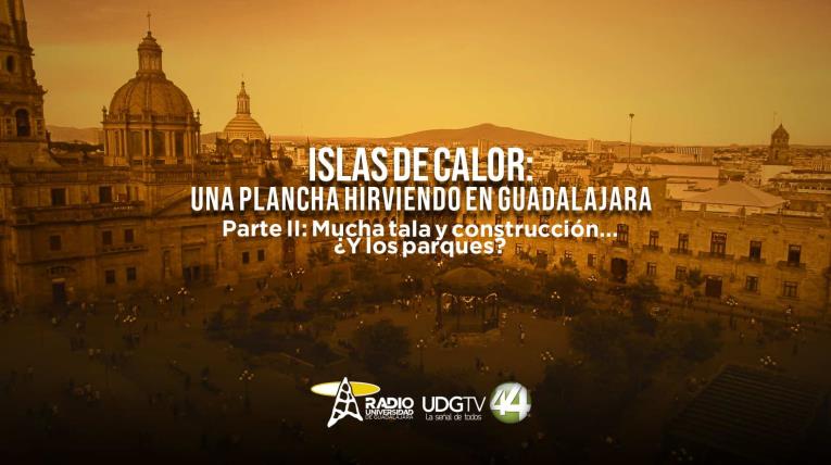 Islas de calor: una plancha hirviendo en Guadalajara| Parte II: Mucha tala y construcción... ¿y los parques? 