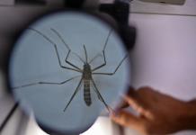 Dengue suma 29 muertes en una semana; son 56 víctimas en 2024