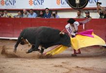 Gobierno de Guadalajara buscará la prohibición de corridas de toros a nivel nacional