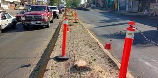 Por nuevas estaciones del Peribús, talan árboles de Avenida Tonaltecas